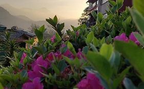 Pousada Casa da Vista